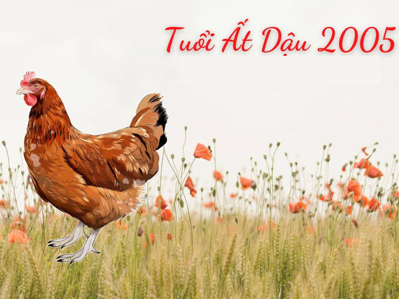 Ngày đẹp chuyển nhà tuổi Ất Dậu