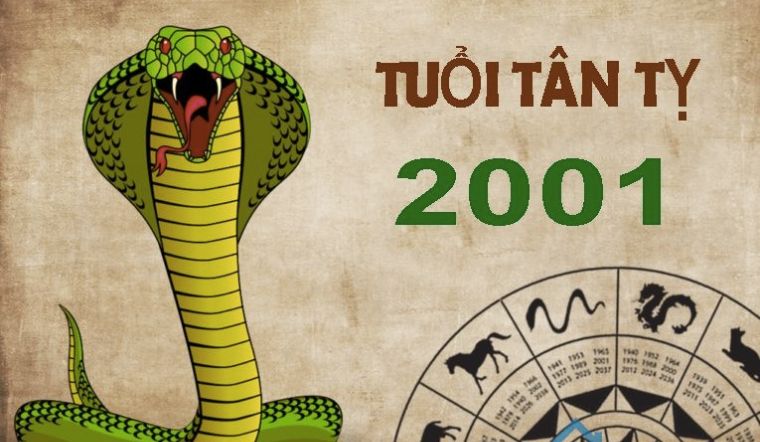 Ngày đẹp chuyển nhà tuổi Tân Tỵ