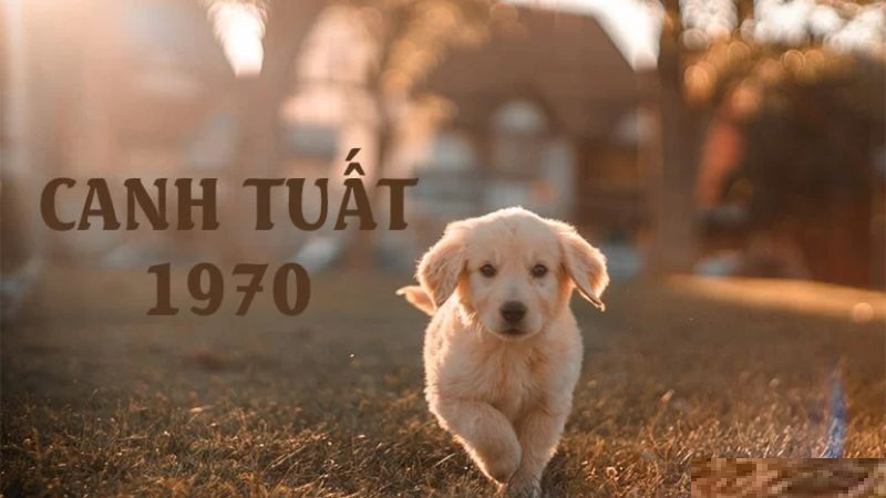 Ngày đẹp chuyển nhà tuổi Canh Tuất