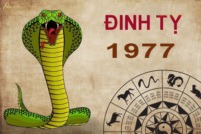 Ngày đẹp chuyển nhà tuổi Đinh Tỵ