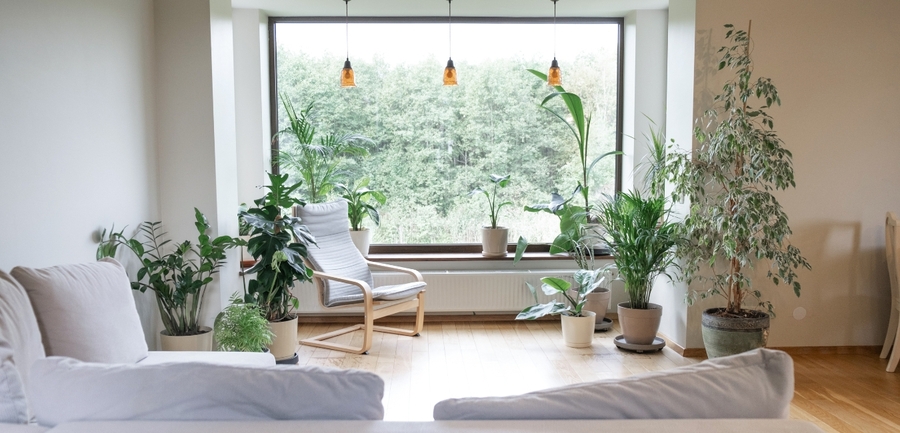 Phong cách Eco là gì